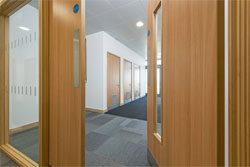 Fire doors and glazed screen