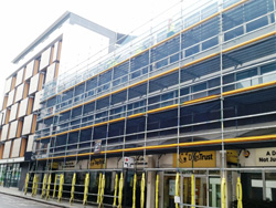 HQ of Dogs Trust