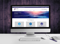 The flood company website