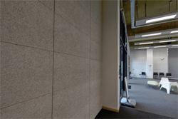 Wall panels in meeting room