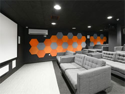 Wall panels in cinema area