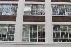 Evolution windows at Walmsley House